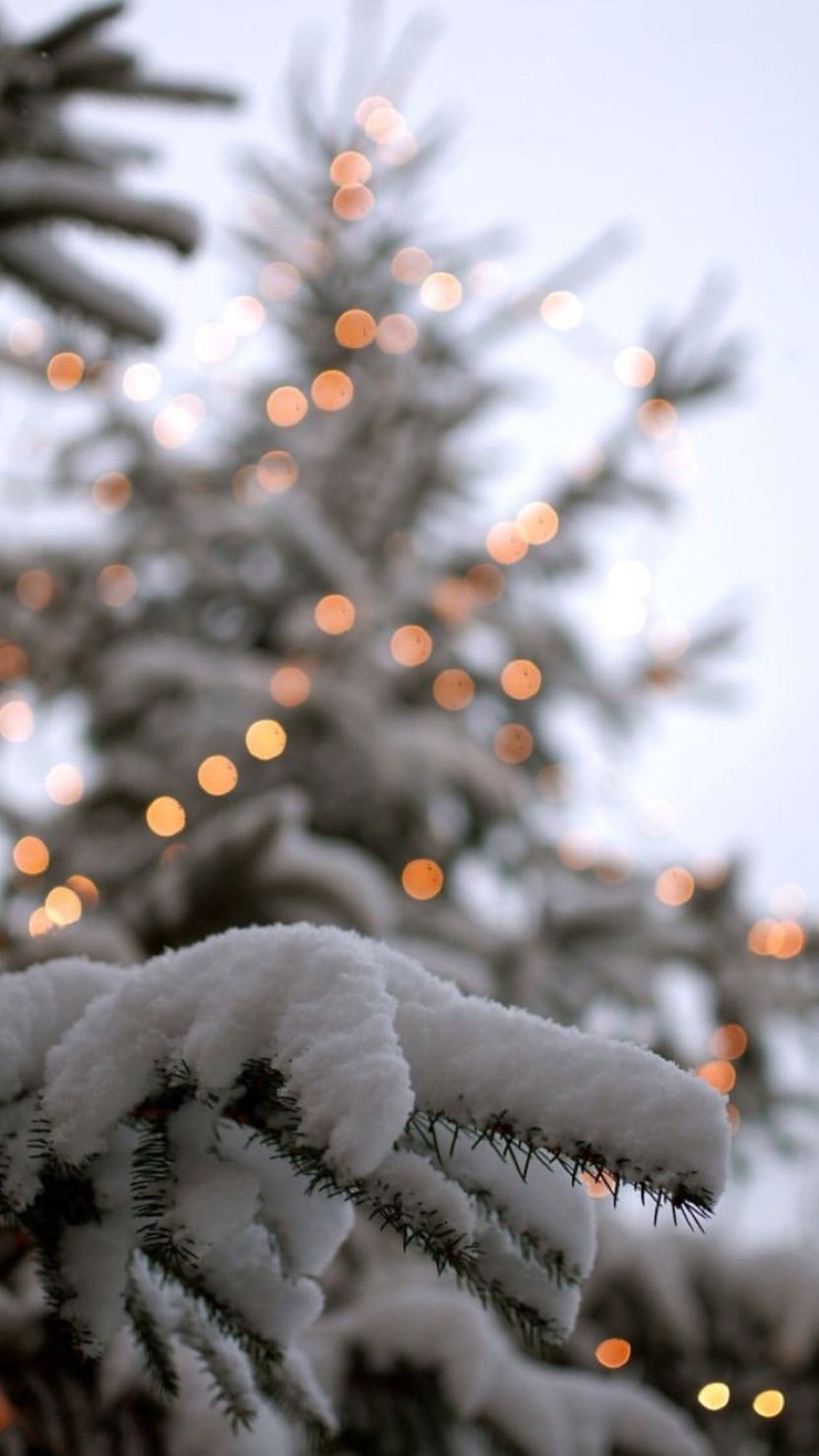 Verschneiter Tannenbaum, Lichterketten, Bokeh, Winter, Weiße Töne, 1242x2208, Handy-Hintergrund