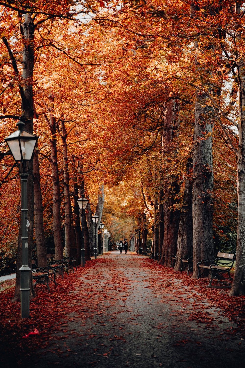 Allee, Straßenlaterne, Park, Rotes Laub, Hintergrundbild für iPhone und Android