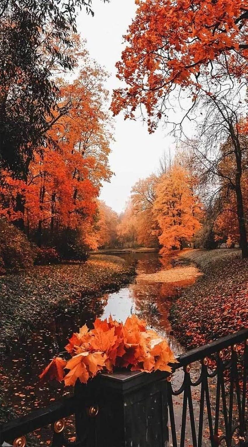 Herbstlaub, Park, Geländer, Bach, HD, Handy-Hintergrund im Hochformat