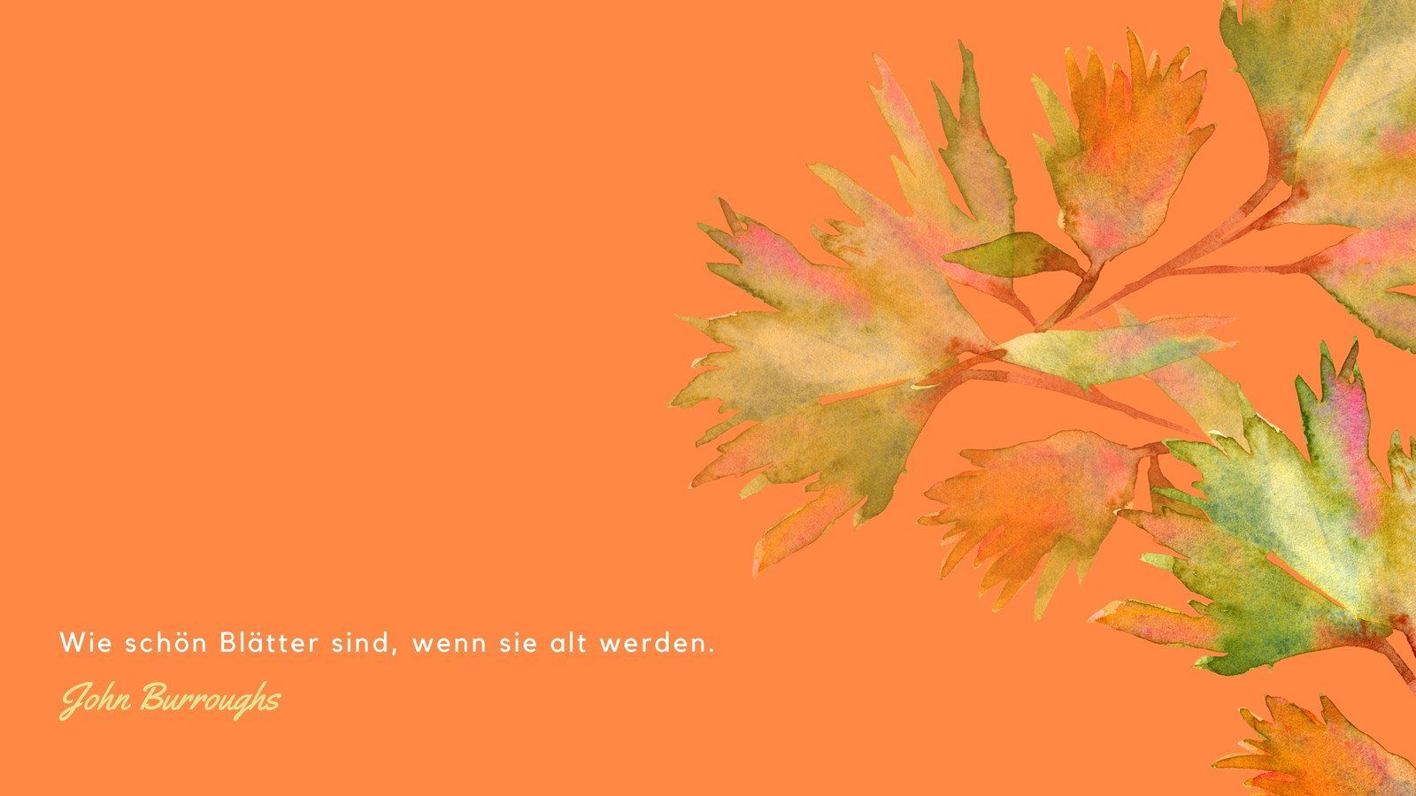 John Burroughs, Zitat, Blätter, Orange Hintergrund, HD Wallpaper