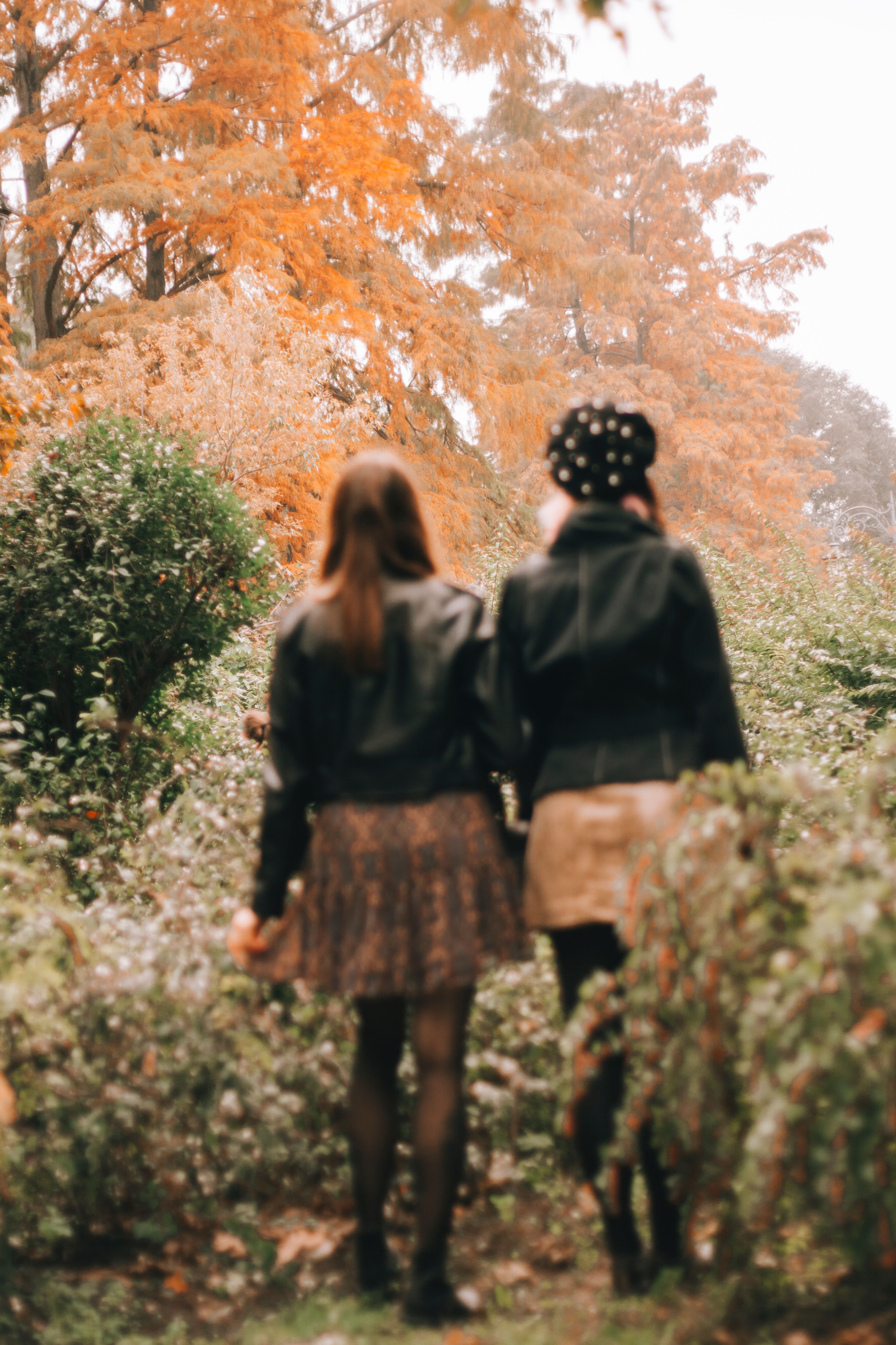 Zwei Frauen, Spaziergang, Herbstwald, Rückansicht, QHD+, Sperrbildschirm fürs iPhone