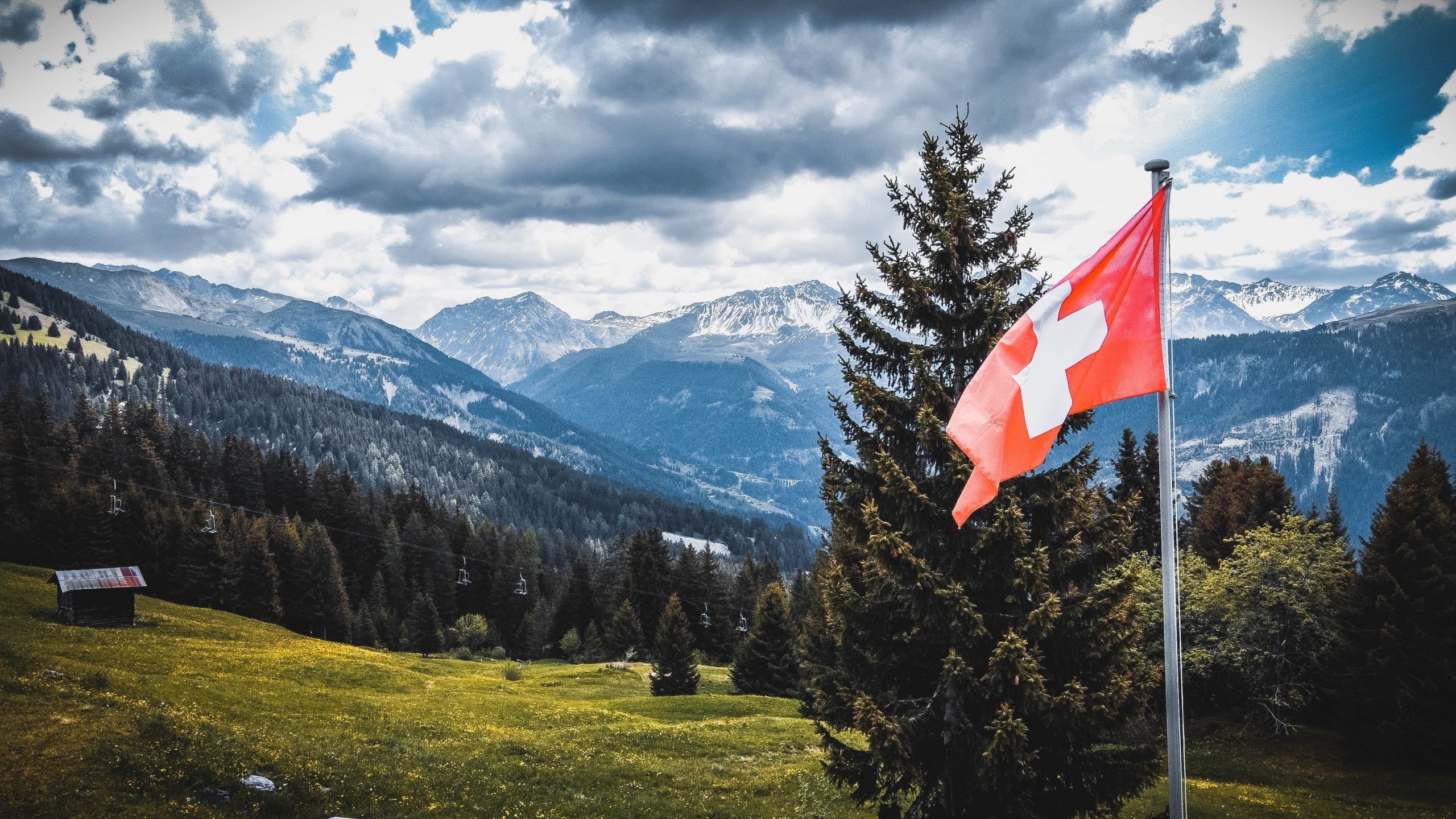 Schweizer Flagge, Alpen, Tannen, Bergpanorama, Schweiz, 2K 1440p, Desktop-Hintergrundbild
