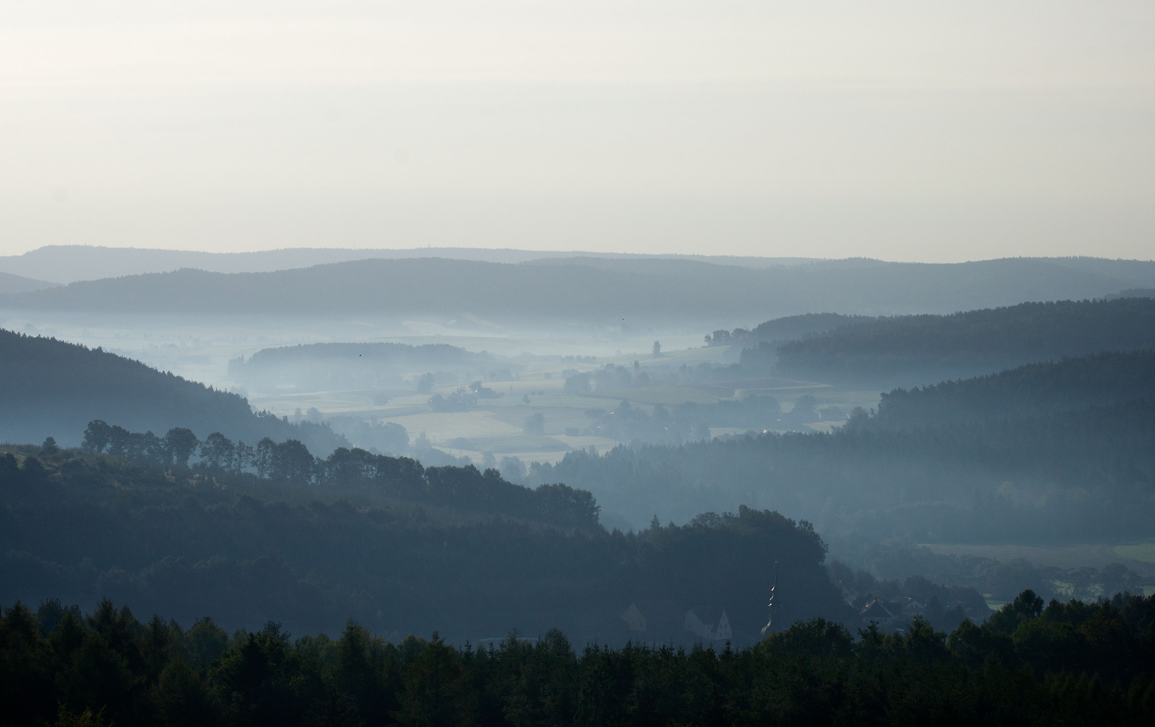Hügel, Nebel, Wald, Morgendämmerung, Dunst, 2K, Hintergrundbild für den PC