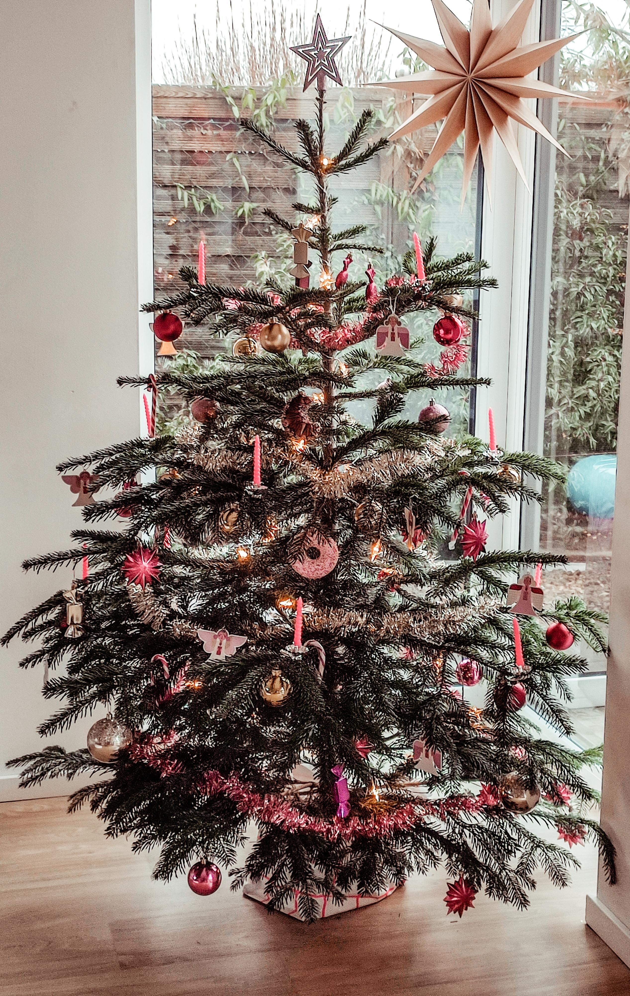 Nordmanntanne, Papierstern, Wohnzimmer, Christbaumschmuck, Minimalistisch, QHD+, Handy-Hintergrund