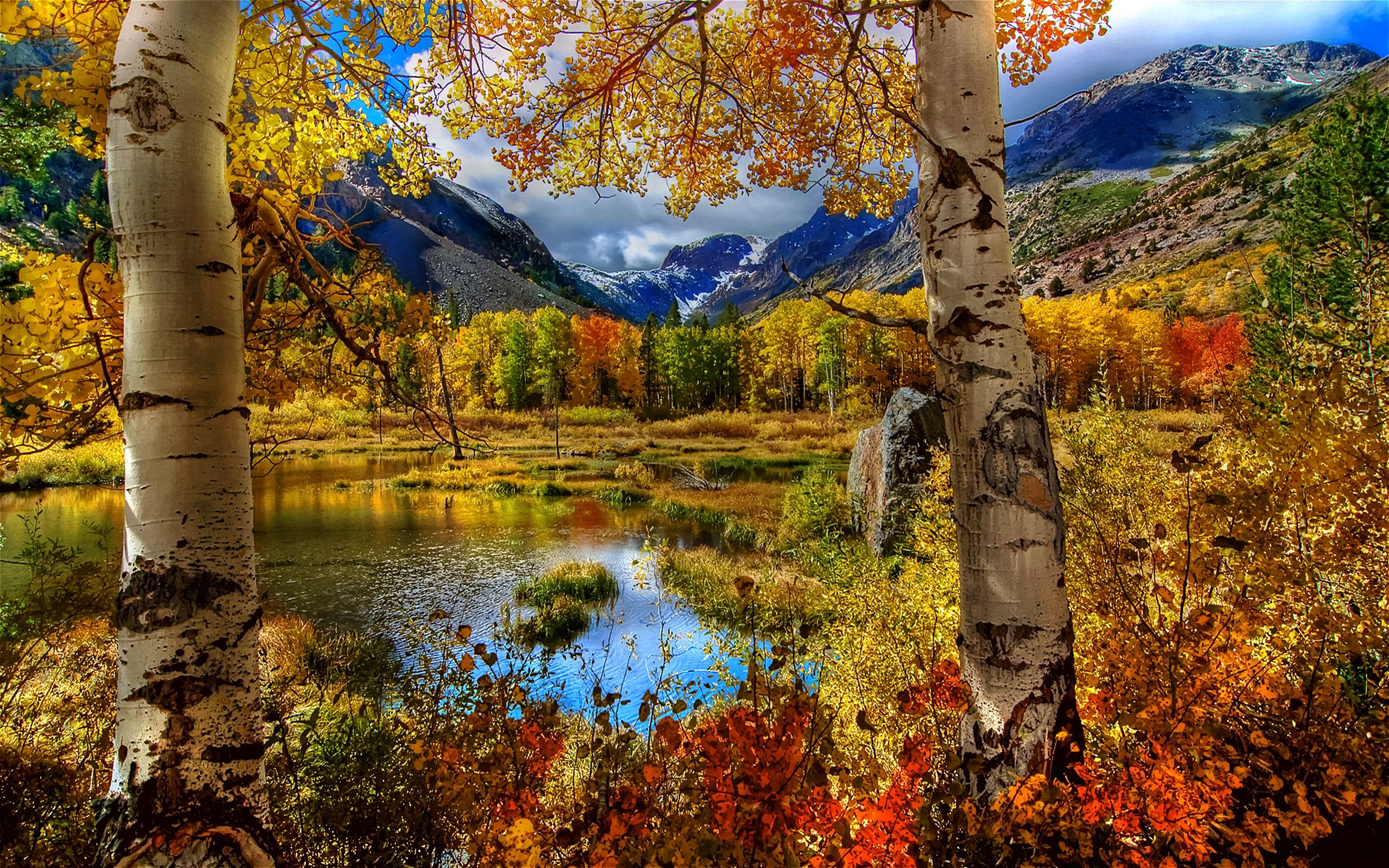 Birken, Bergsee, Berge, Herbstlandschaft, Bunte Bäume, 16:10, 2K-Hintergrundbild für den Desktop