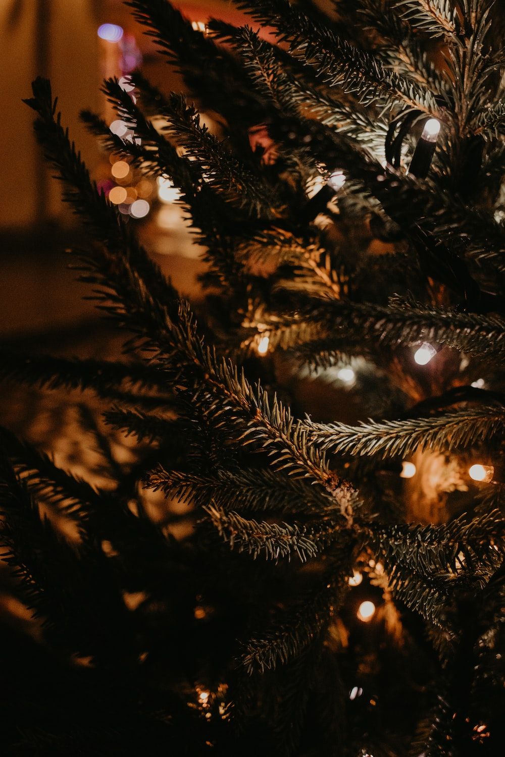 Tannenzweige, Lichter, Dunkel, Bokeh, Hochformat, Hintergrundbild fürs Smartphone