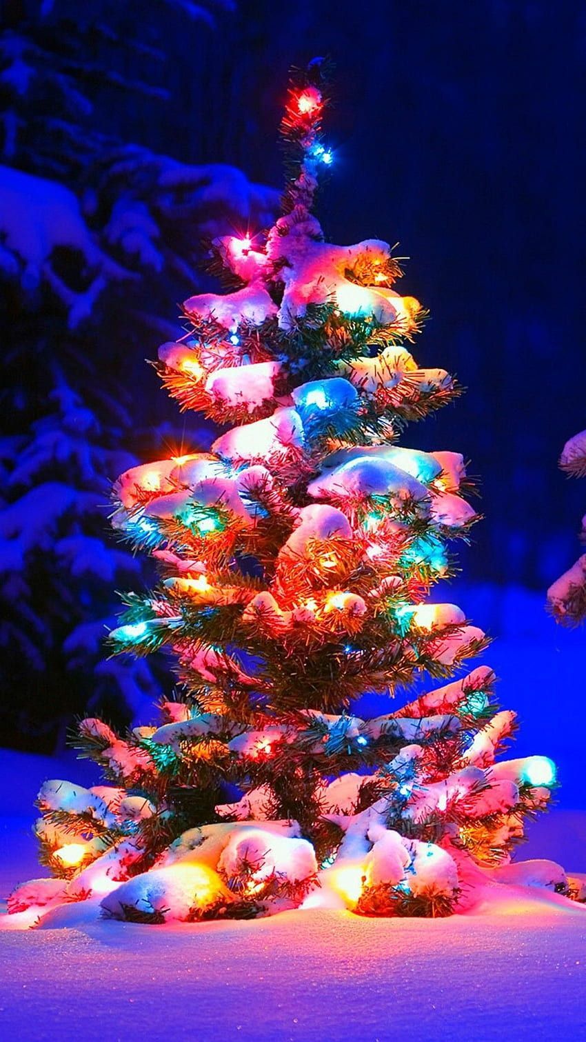 Christbaum, Bunte Lichter, Geschenke, Nacht, Violette Töne, HD, Handy-Hintergrundbild