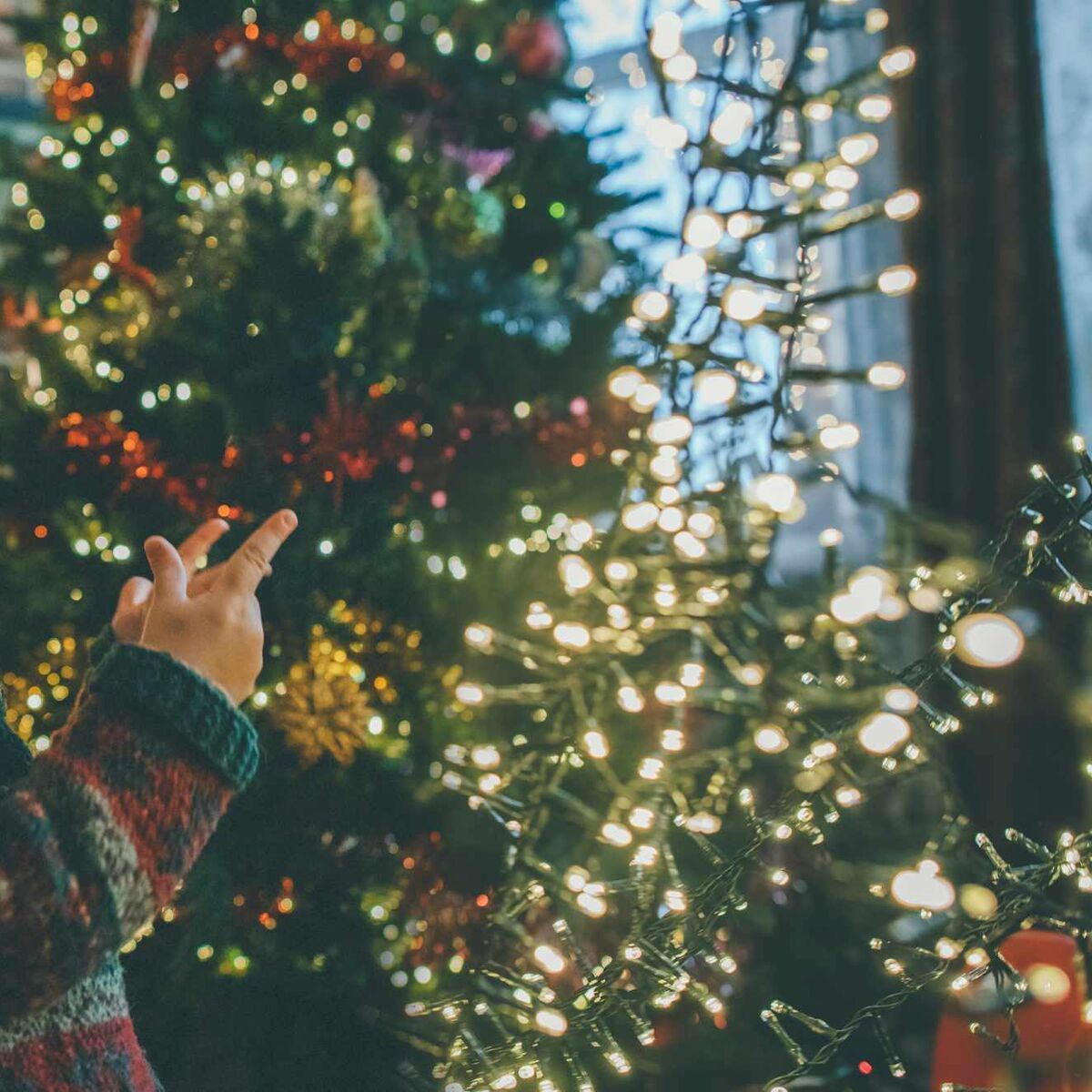Lichterketten, Hand, Tannenbaum, Bokeh, Draußen, Hintergrundbild für iPad und Tablet