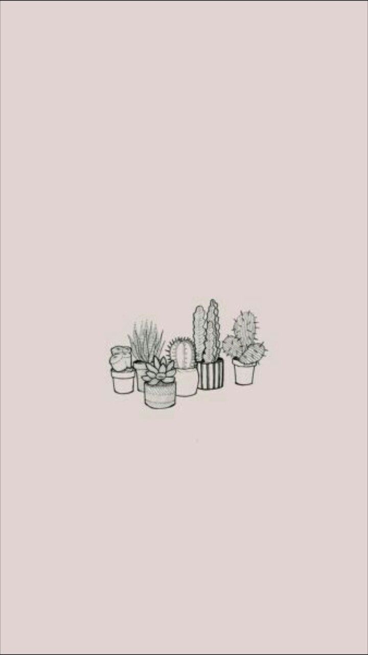 Topfkakteen, Strichzeichnung, Altrosa, Minimalistisch, Klein, HD, Handy-Hintergrundbild