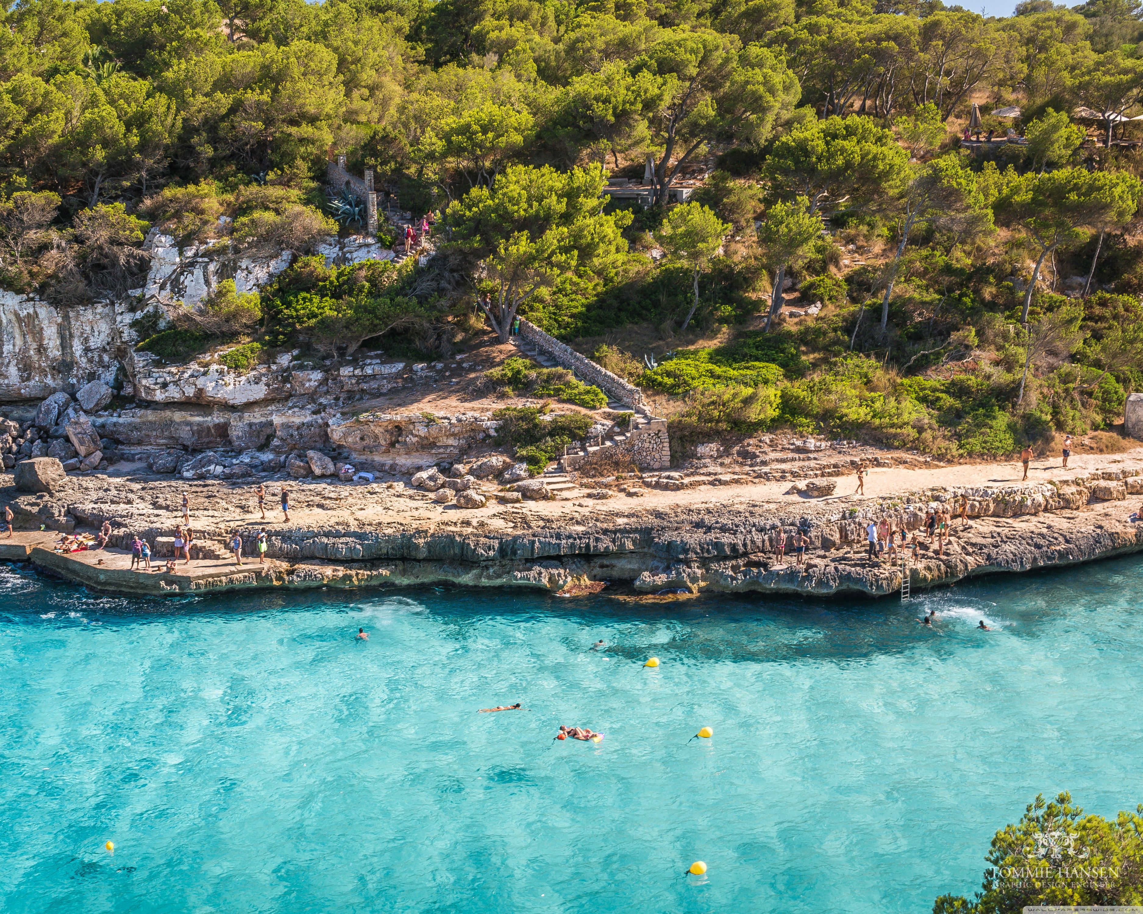 Mallorca, Cala, Badebucht, Kiefernwald, Türkises Wasser, Schwimmer, 2K-Hintergrundbild für PC