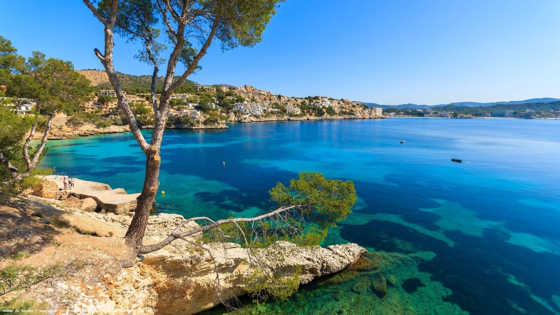 Mallorca, Bucht, Kiefer, Felsküste, Türkises Meer, Sommer, Full-HD-Hintergrundbild für PC