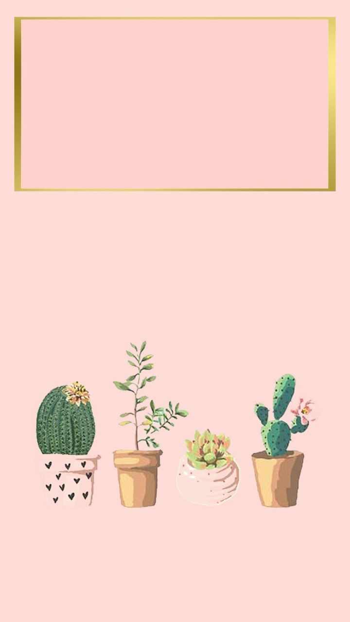 Topfkakteen, Sukkulenten, Lachsrosa, Goldrahmen, Illustration, HD, iPhone-Hintergrundbild