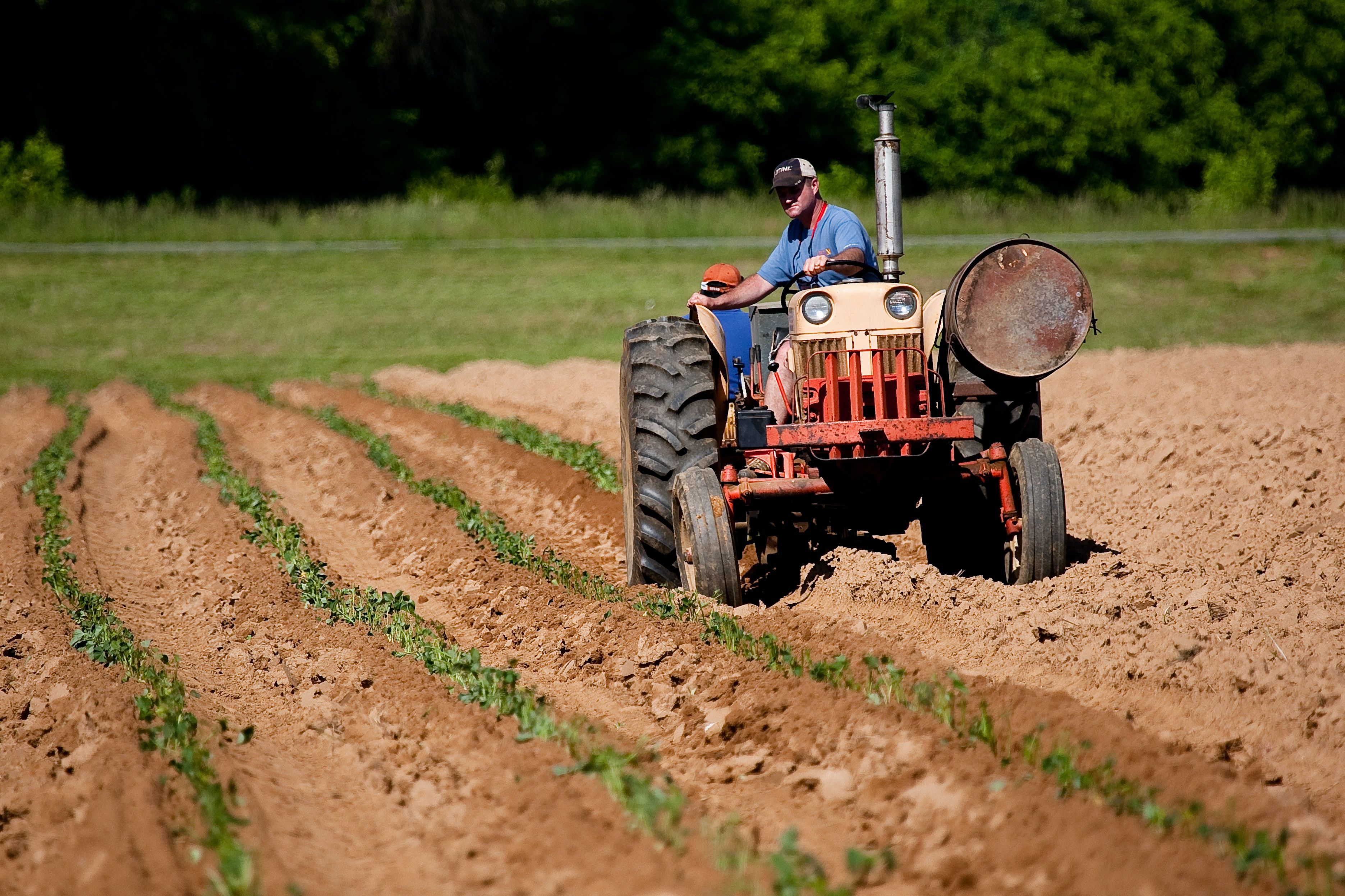 Oldtimer-Traktor, Landwirt, Pflügen, Ackerfurchen, Sommer, 2K, Desktop-Hintergrund