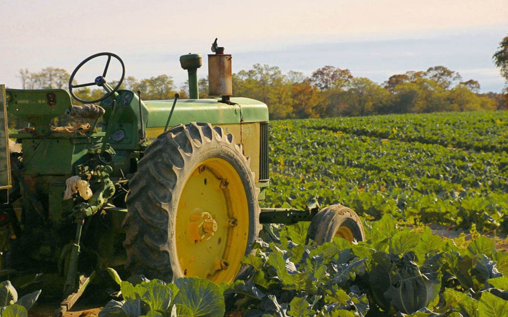 John Deere, Oldtimer-Traktor, Gemüsefeld, Gelbe Felgen, Landleben, HD, Laptop-Hintergrundbild