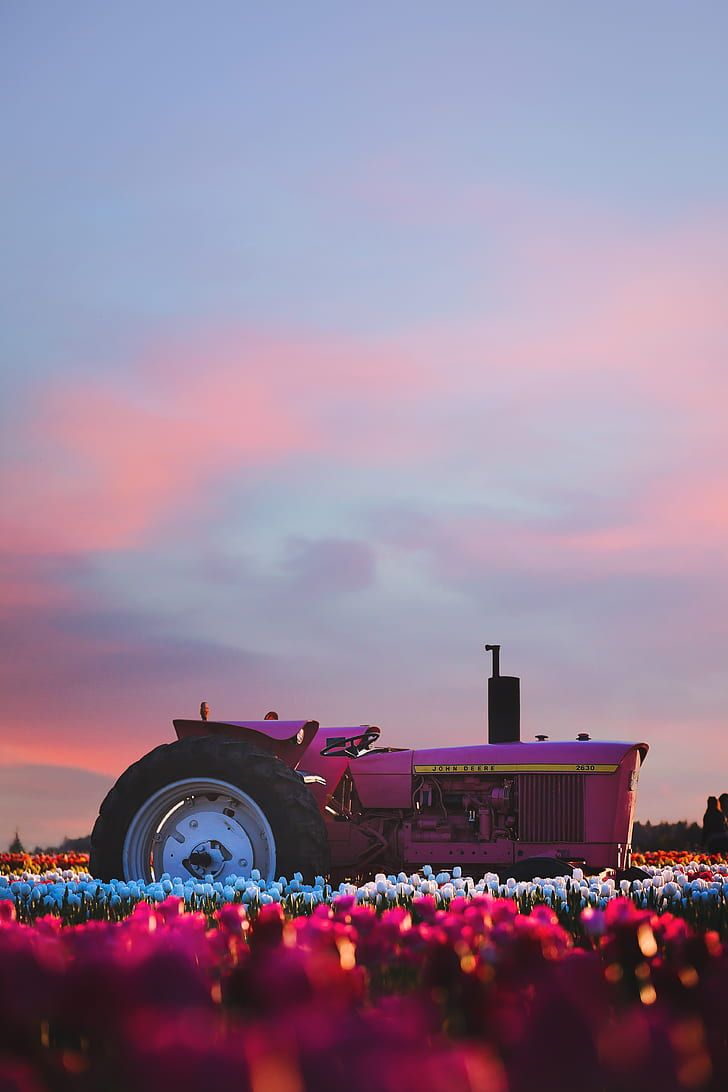 Oldtimer-Traktor, Silhouette, Blumenfeld, Abendrot, Rosa Himmel, HD, Handy-Hintergrundbild