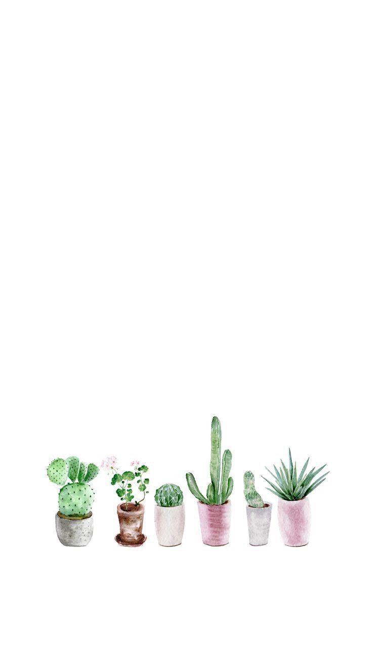 Topfkakteen, Sukkulenten, Weiß, Minimalistisch, Klein, Hochformat, Hintergrundbild fürs Smartphone