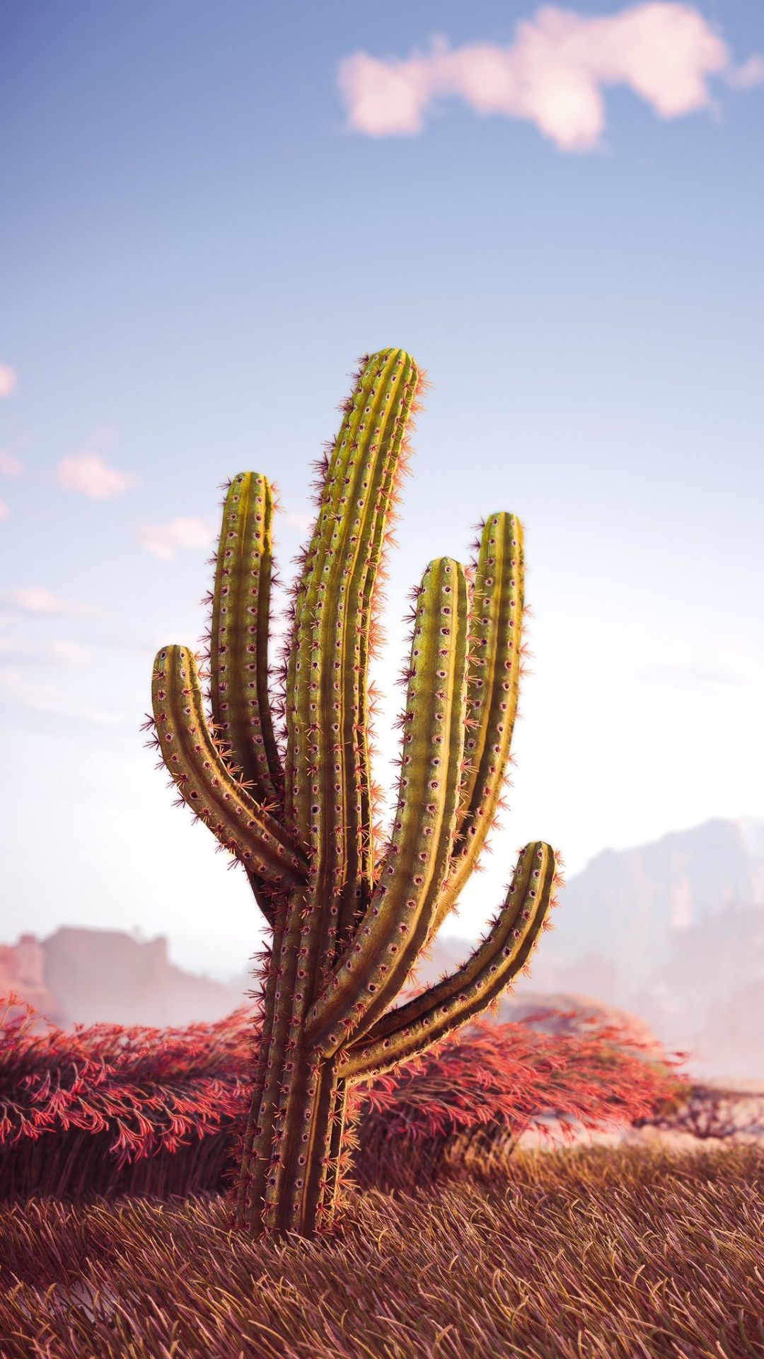 Säulenkaktus, Wüste, Abendhimmel, Rote Blumen, Landschaft, 1080x1920, Handy-Hintergrund