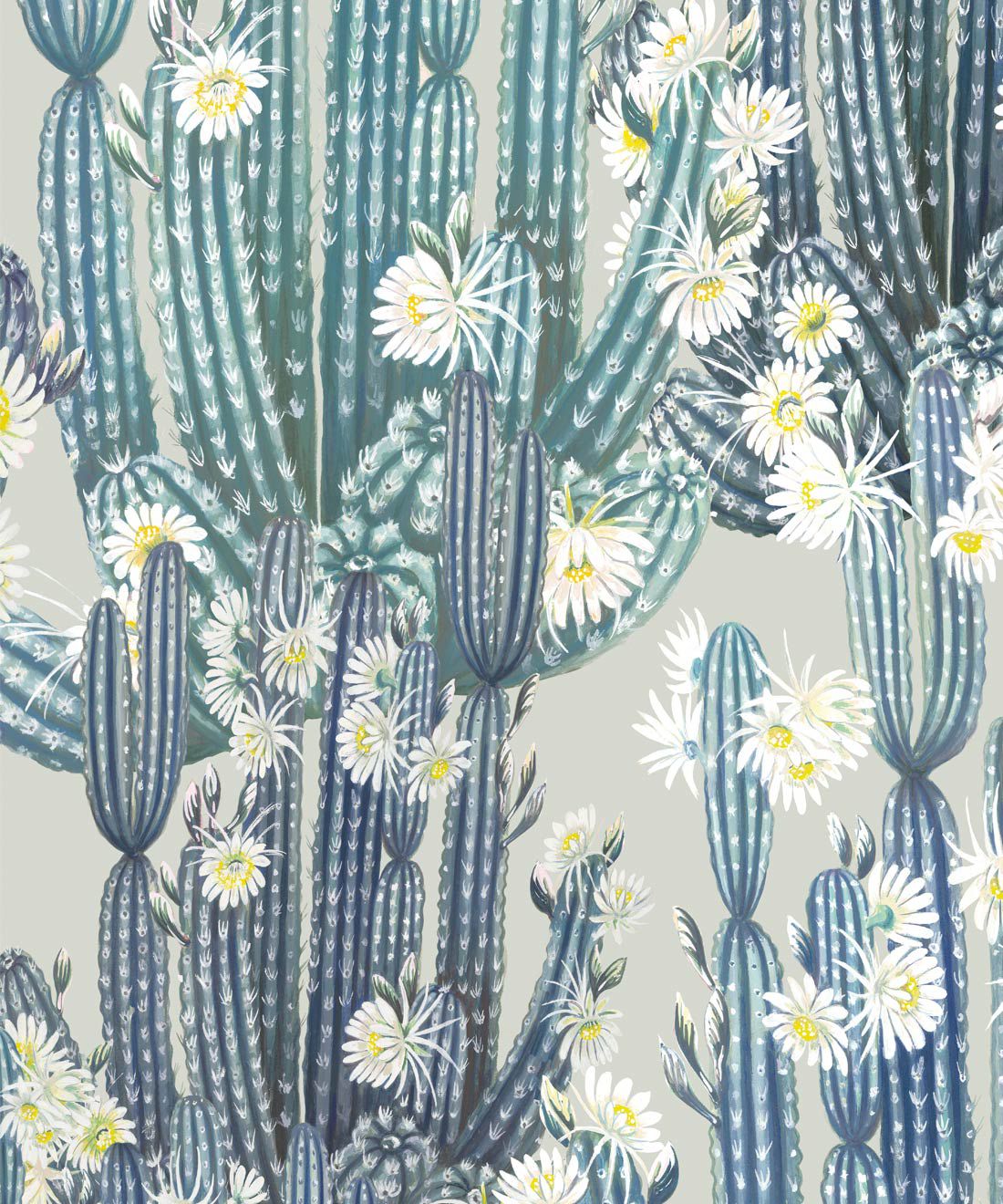 Säulenkakteen, Weiße Blüten, Graublau, Illustration, Muster, Hintergrundbild fürs Tablet