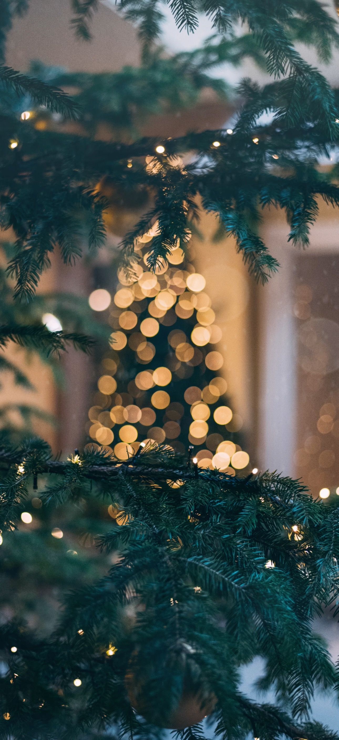 Tannenzweige, Lichterkette, Bokeh, Weihnachtsbaum, Dunkelgrün, Full HD, Handy-Hintergrundbild