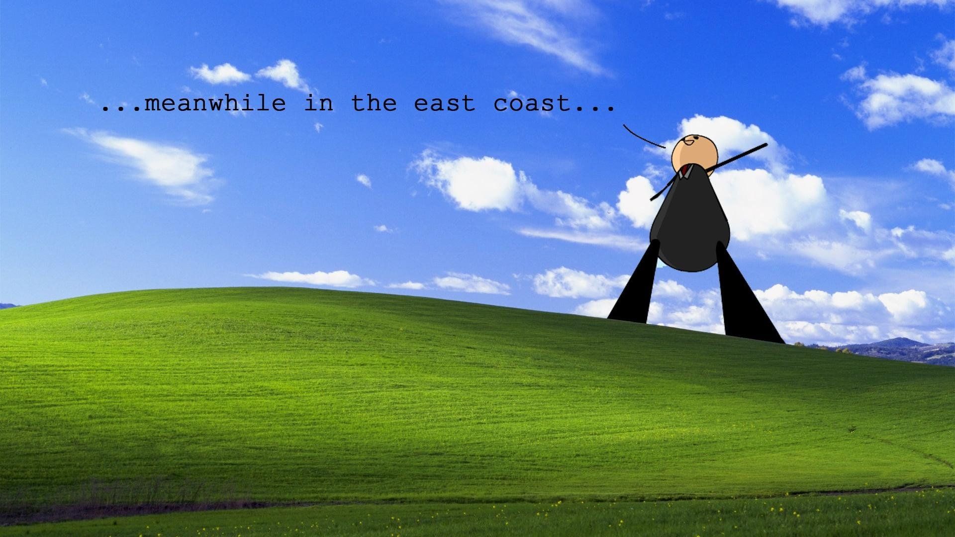 Bliss, Riesenpinguin, Meme, Meanwhile in the east coast, Lustig, Full HD, Windows-Hintergrundbild