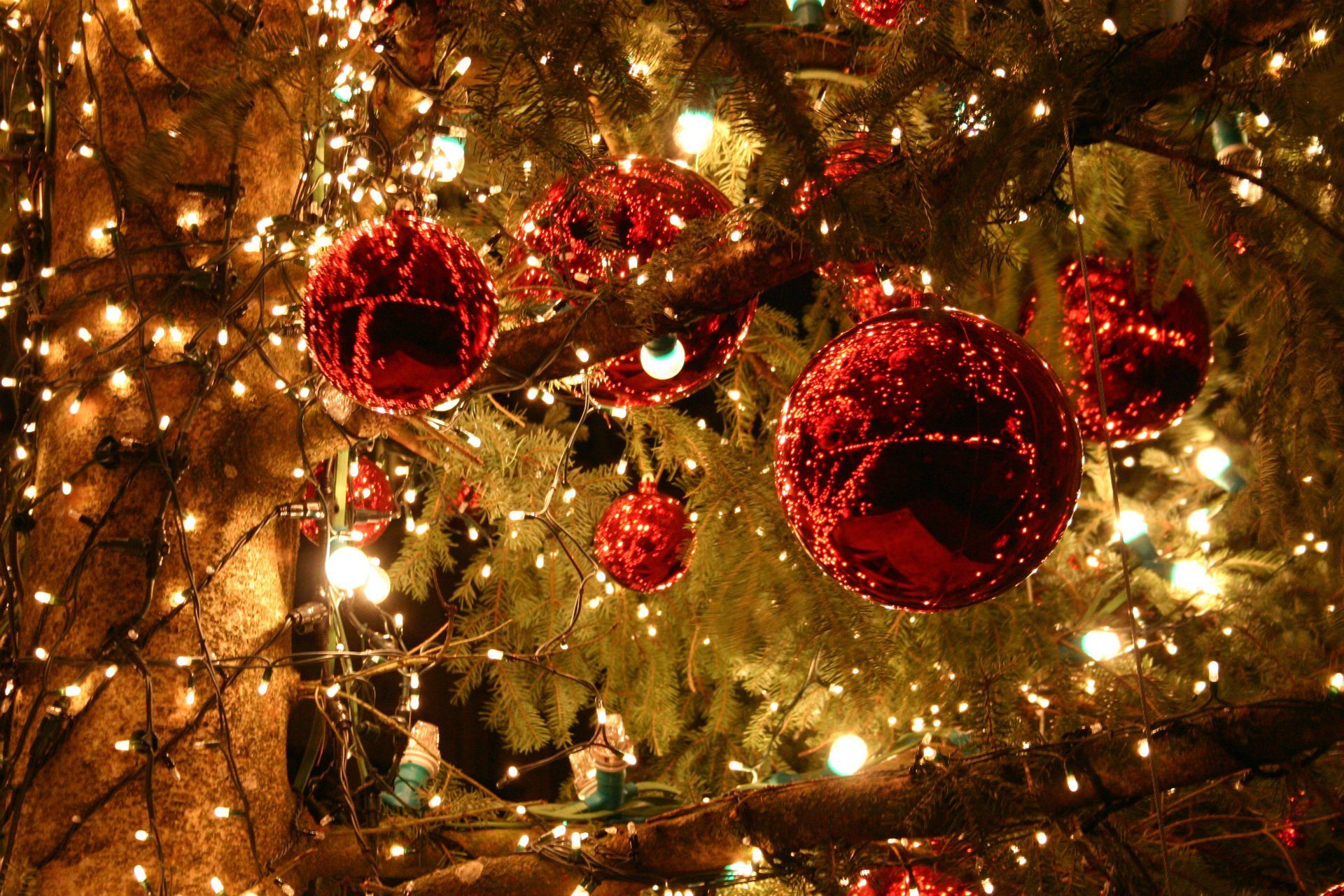 Rote Kugeln, Lichterkette, Weihnachtsbaum, Goldenes Licht, Festlich, Full HD, Laptop-Hintergrundbild