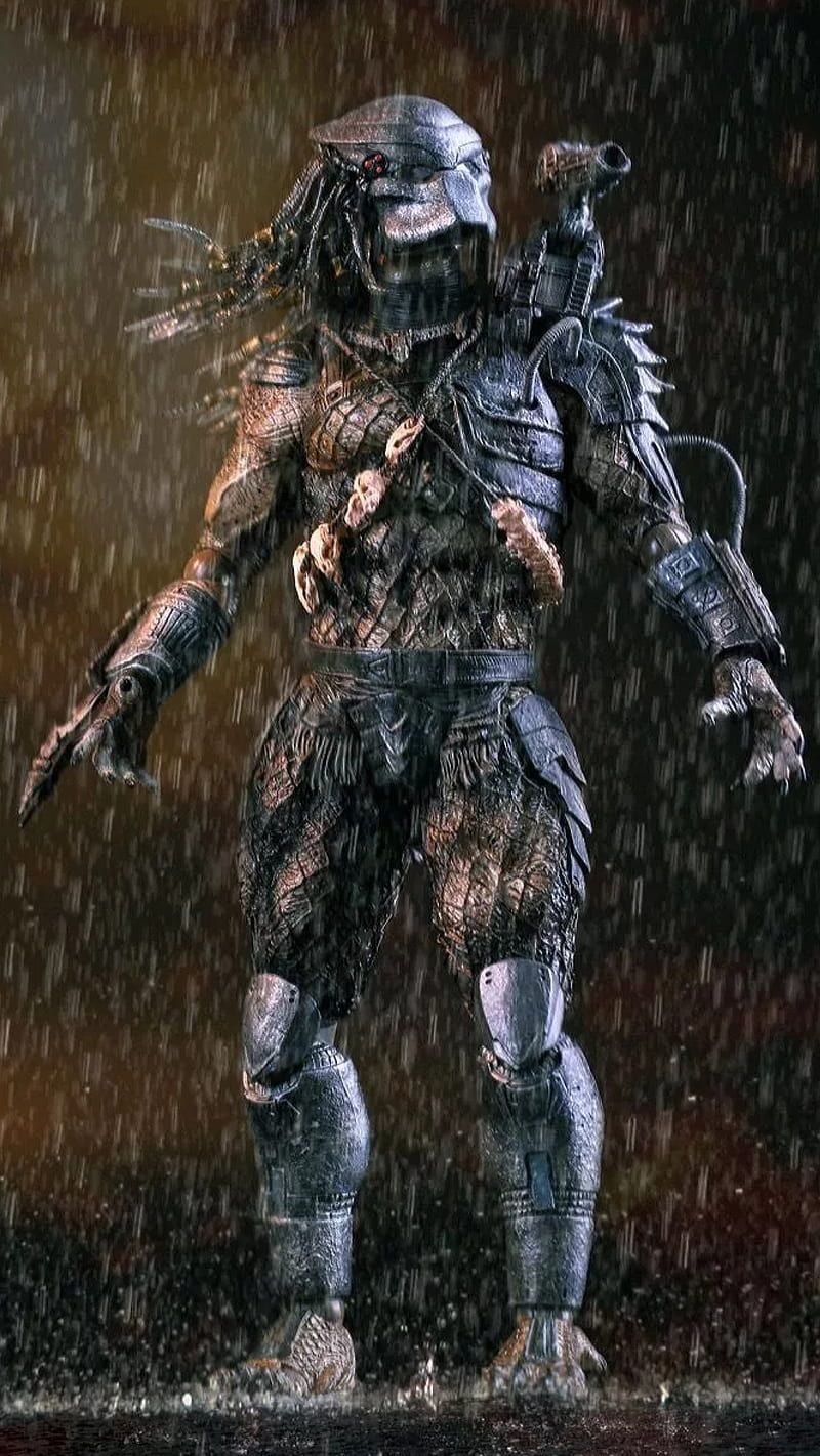 Predator, Regen, Ganzkörper, Rüstung, Actionfigur, HD, Handy-Hintergrund im Hochformat