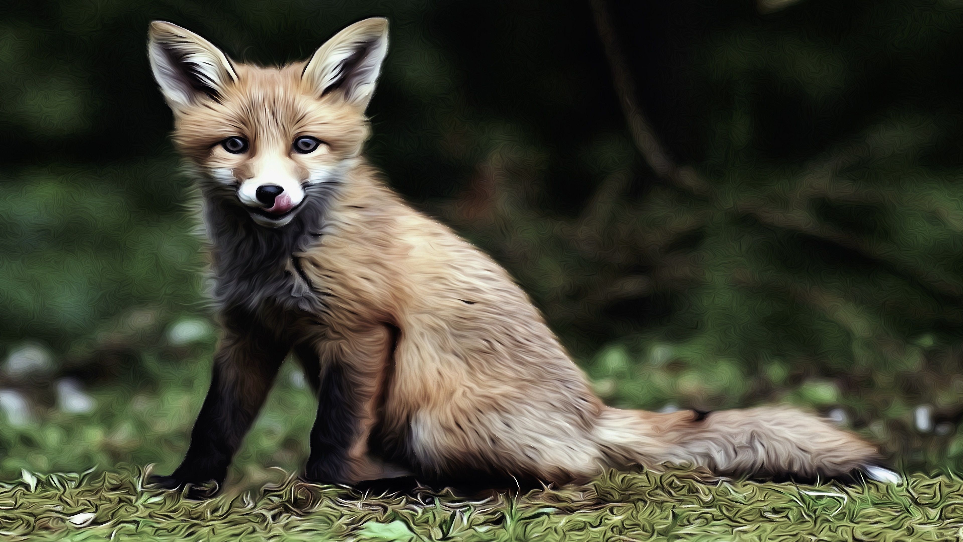 Fuchswelpe, Rotfuchs, Wiese, Jungtier, Grüner Hintergrund, 4K Wallpaper