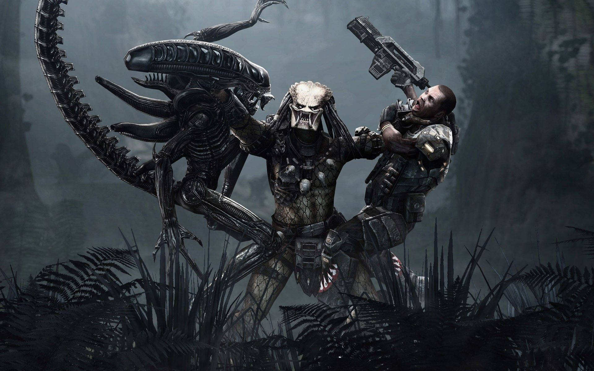 Alien vs. Predator, Xenomorph, Predator, Kampf, Dschungel, Full-HD-Hintergrundbild für PC