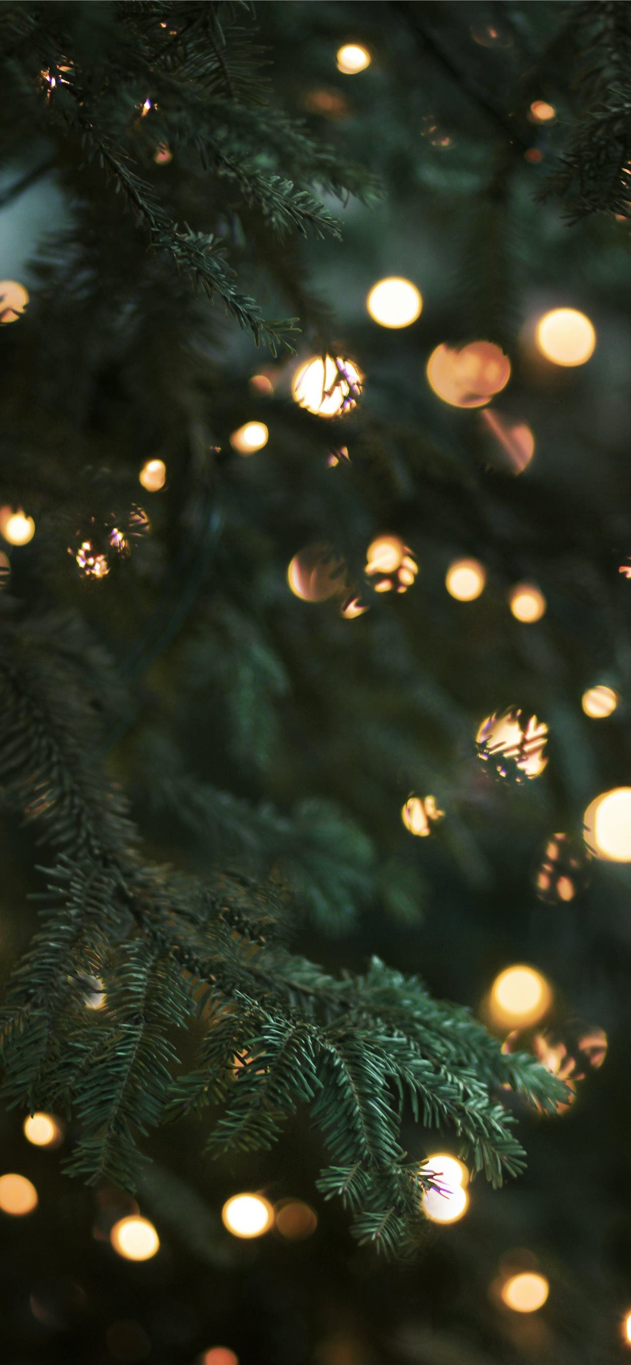 Tannenzweige, Lichter, Bokeh, Dunkelgrün, Weihnachtsbaum, 1284x2778, Handy-Hintergrund