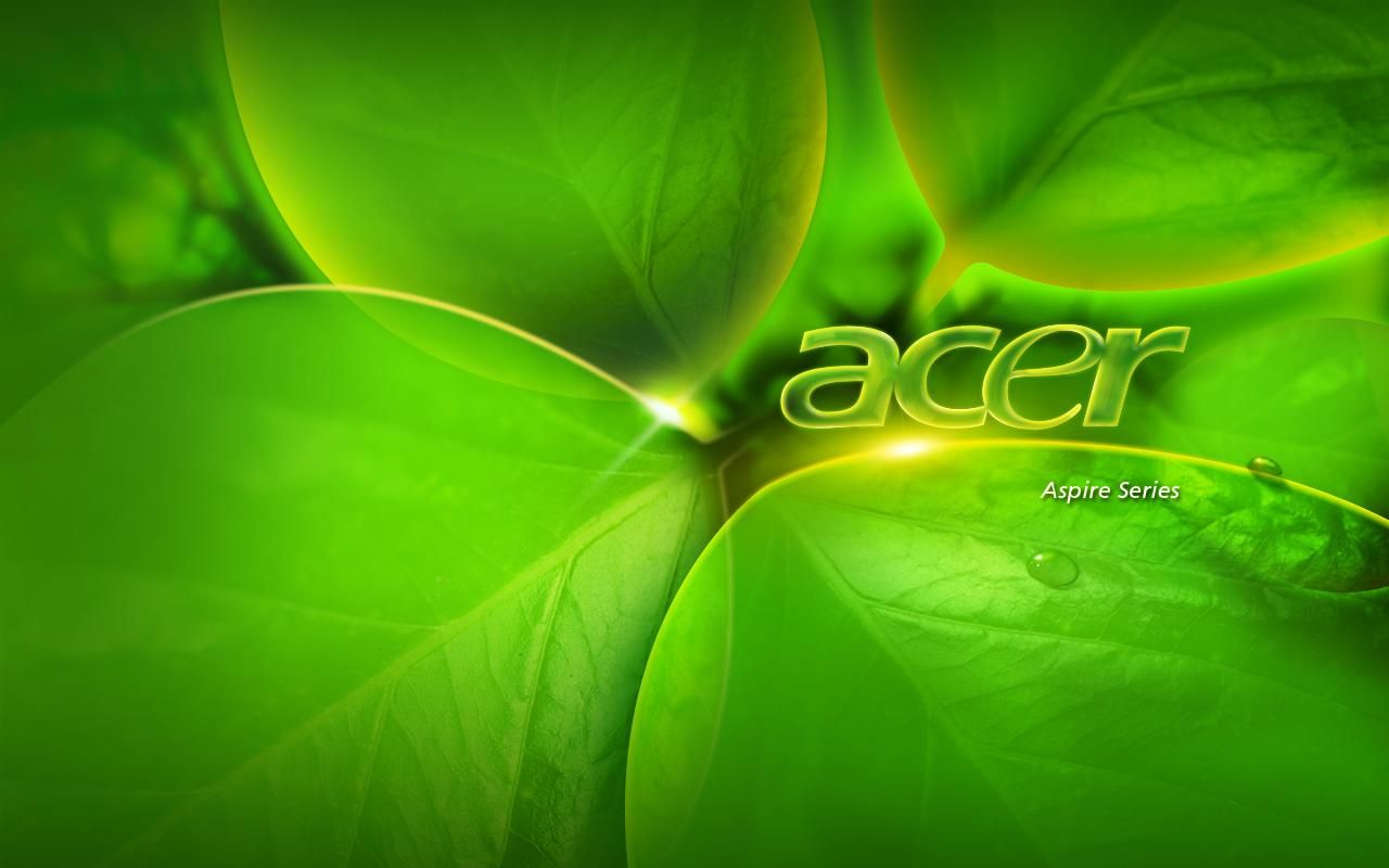 Acer, Acer Aspire, Grüne Blätter, Makro, Natur, Grün, HD, Hintergrund für den Desktop