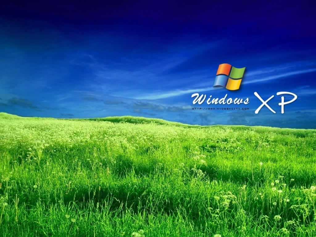 Windows XP, Windows-Logo, Grüne Wiese, Blauer Himmel, Gras, Hintergrundbild fürs iPad