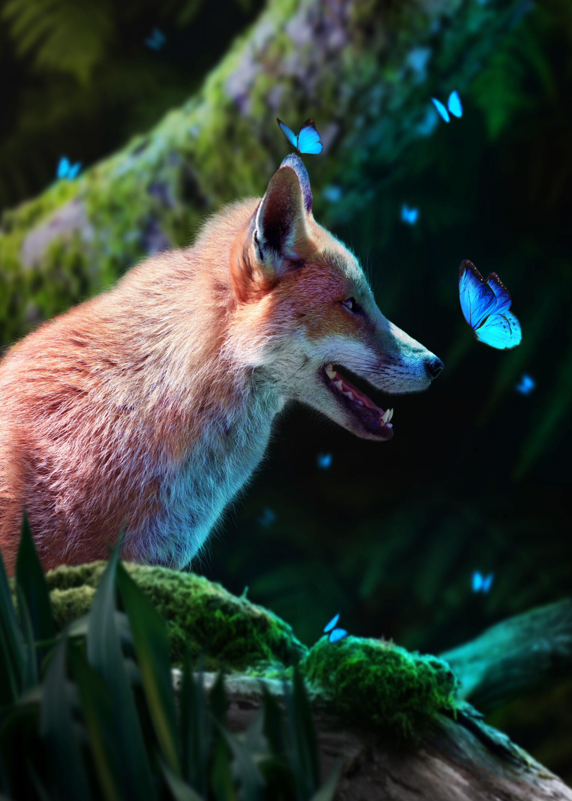 Fuchs, Schmetterlinge, Moos, Fantasy, Blaues Licht, QHD+, iPad-Hintergrundbild