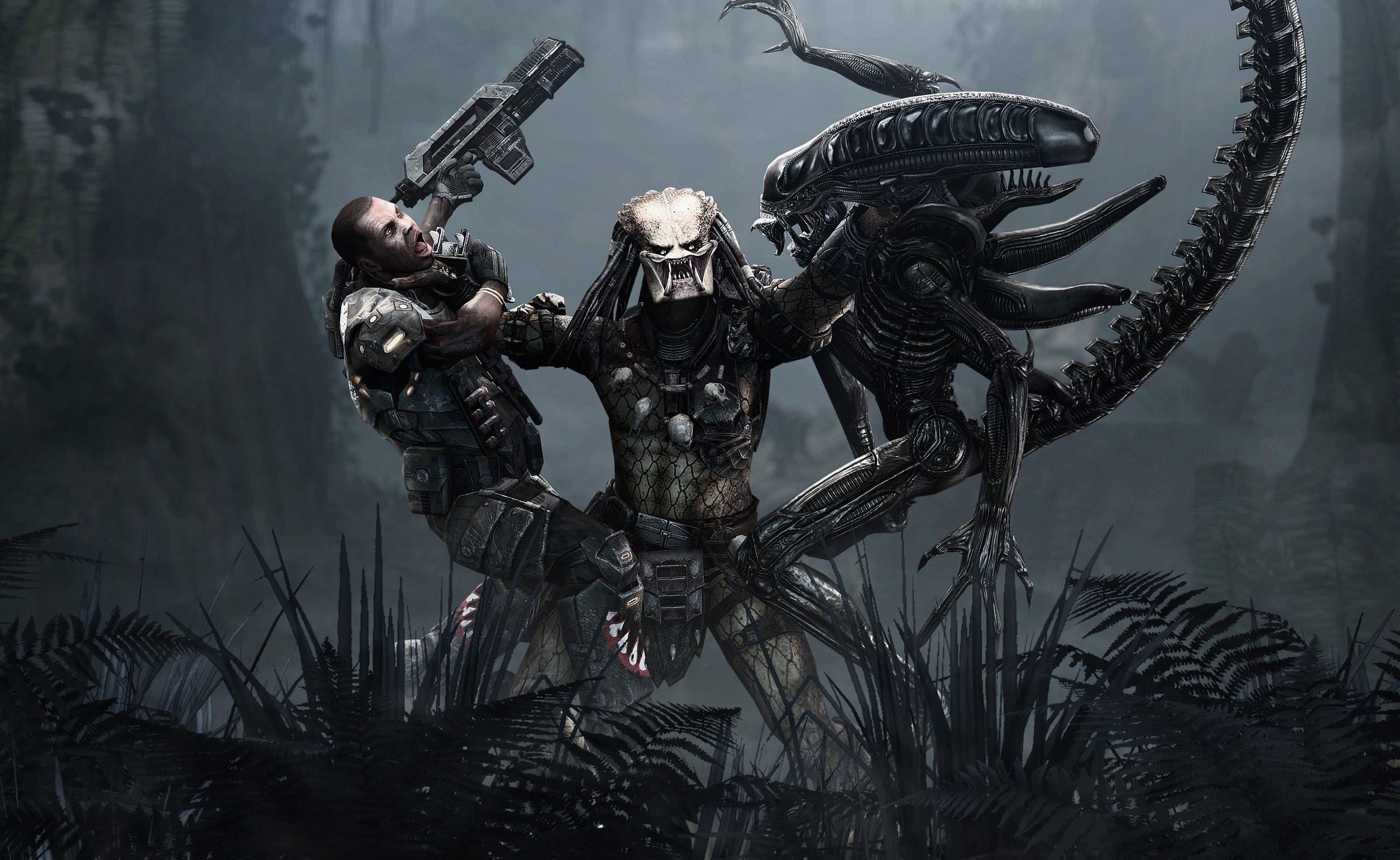 Alien vs. Predator, Predator, Xenomorph, Kampf, Dschungel, 2K, PC-Hintergrundbild