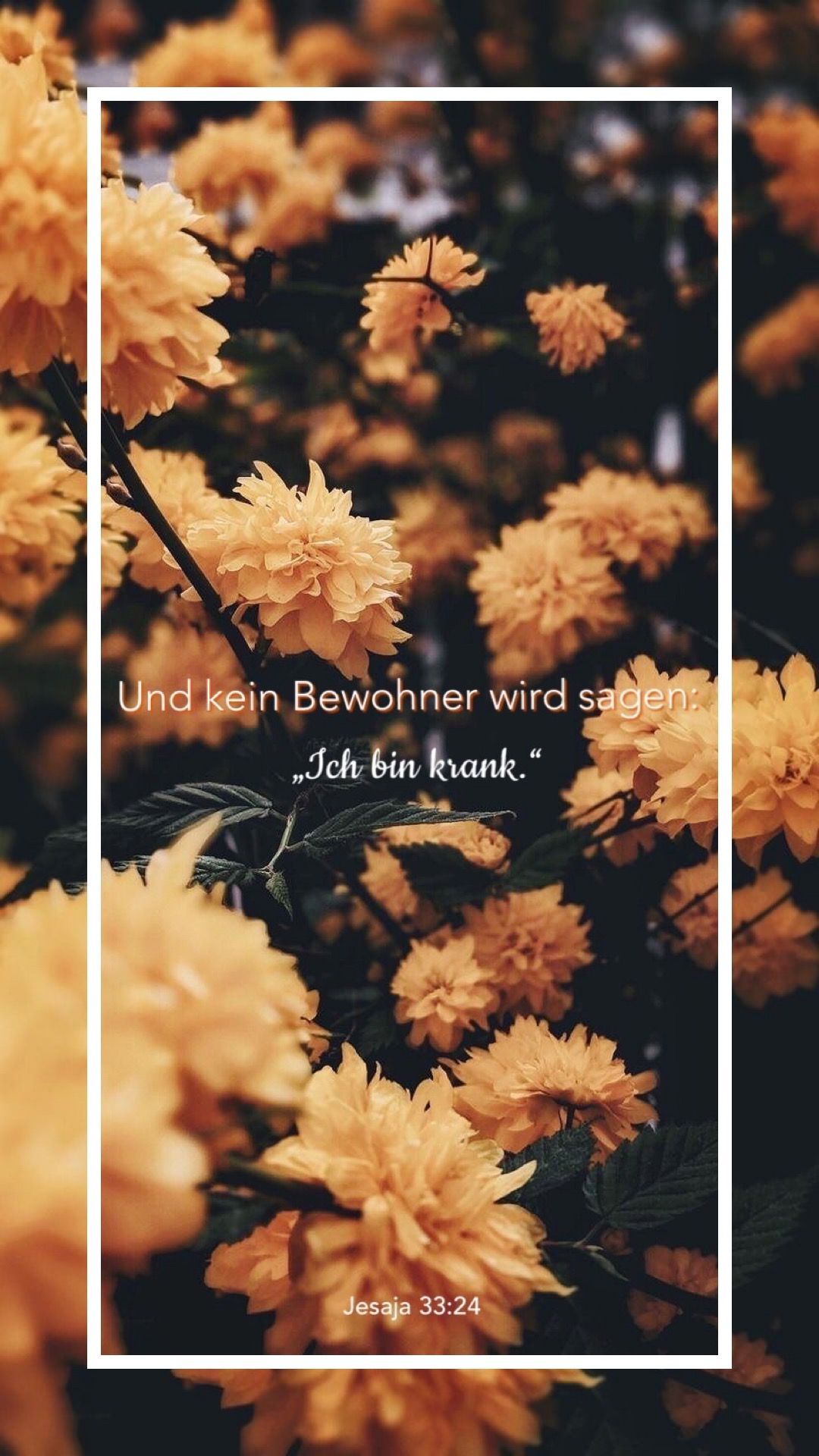 Gelbe Blumen, Zitat, Rahmen, Herbsttöne, Deutscher Text, Full HD, Handy-Hintergrundbild