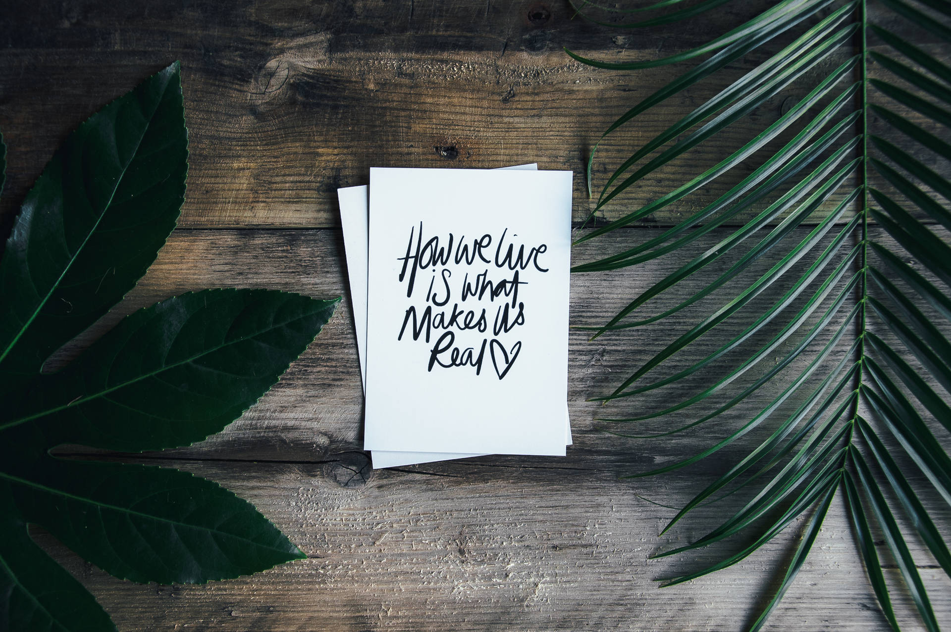Handlettering, Zitat, Palmblätter, Holztisch, Flatlay, Full HD, Desktop-Hintergrund für Windows