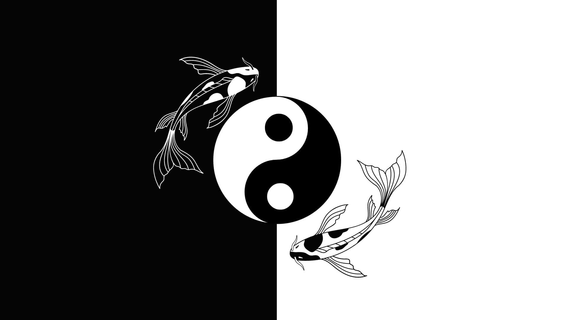 Yin und Yang, Koi-Karpfen, Schwarz-Weiß, Geteilter Hintergrund, Linienkunst, 1080p Wallpaper