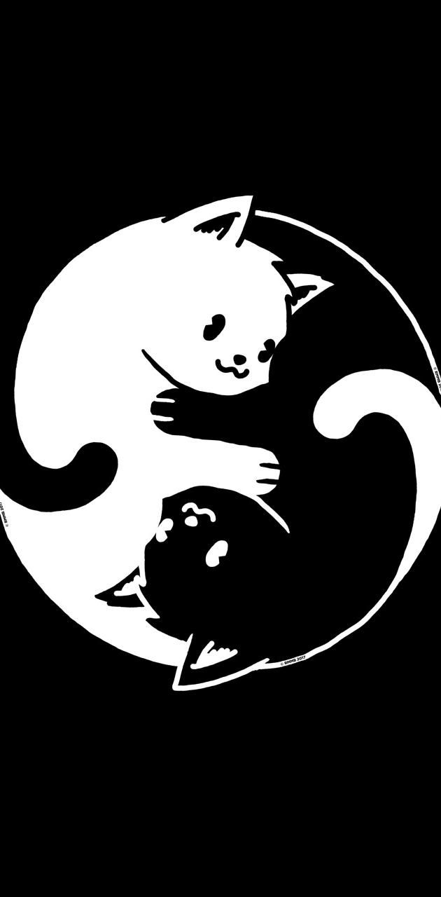 Yin und Yang, Katzen, Schwarze Katze, Weiße Katze, Niedlich, Android-Hintergrundbild