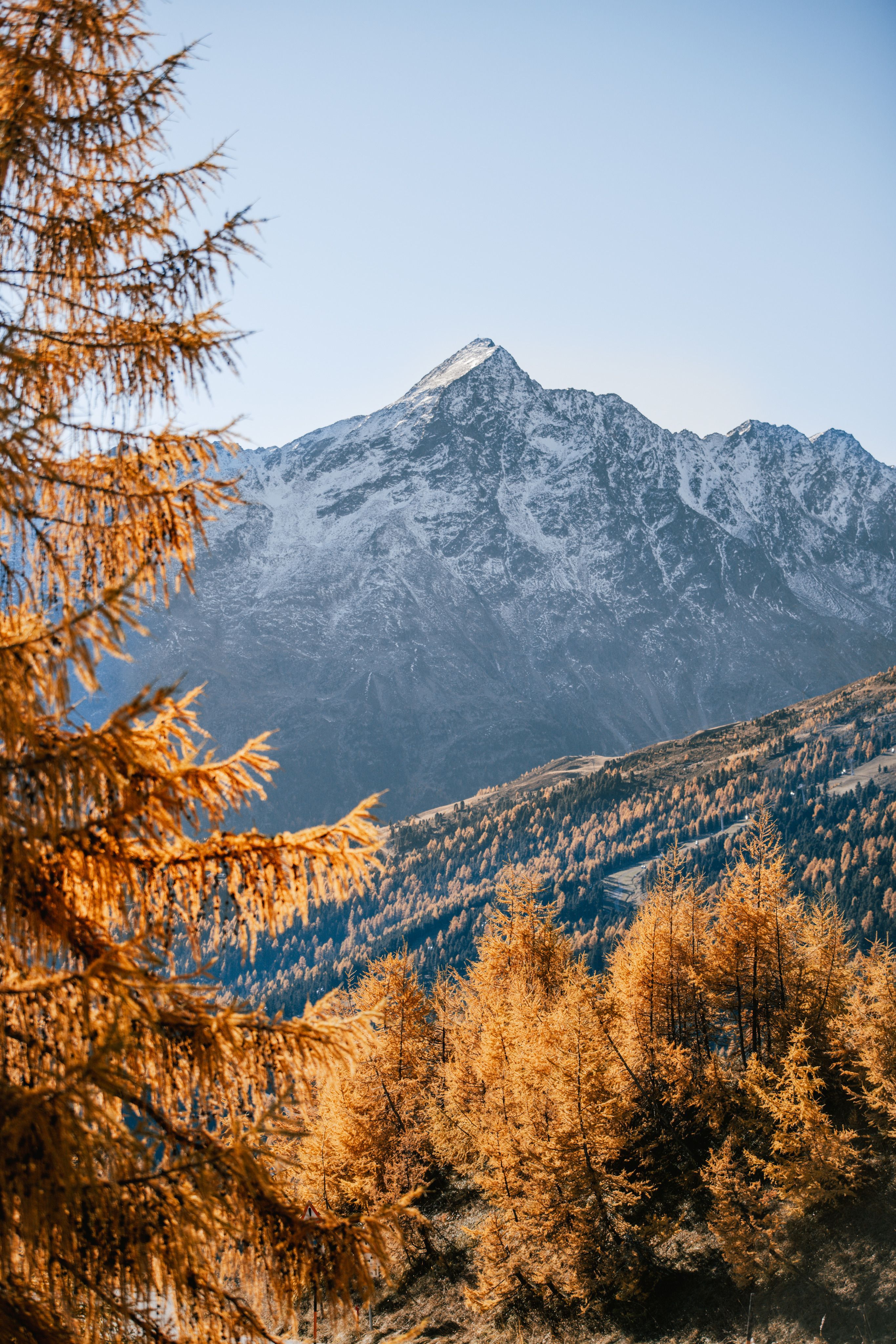 Berggipfel, Lärchen, Herbst, Alpen, Blauer Himmel, QHD+, Hintergrundbild fürs Tablet