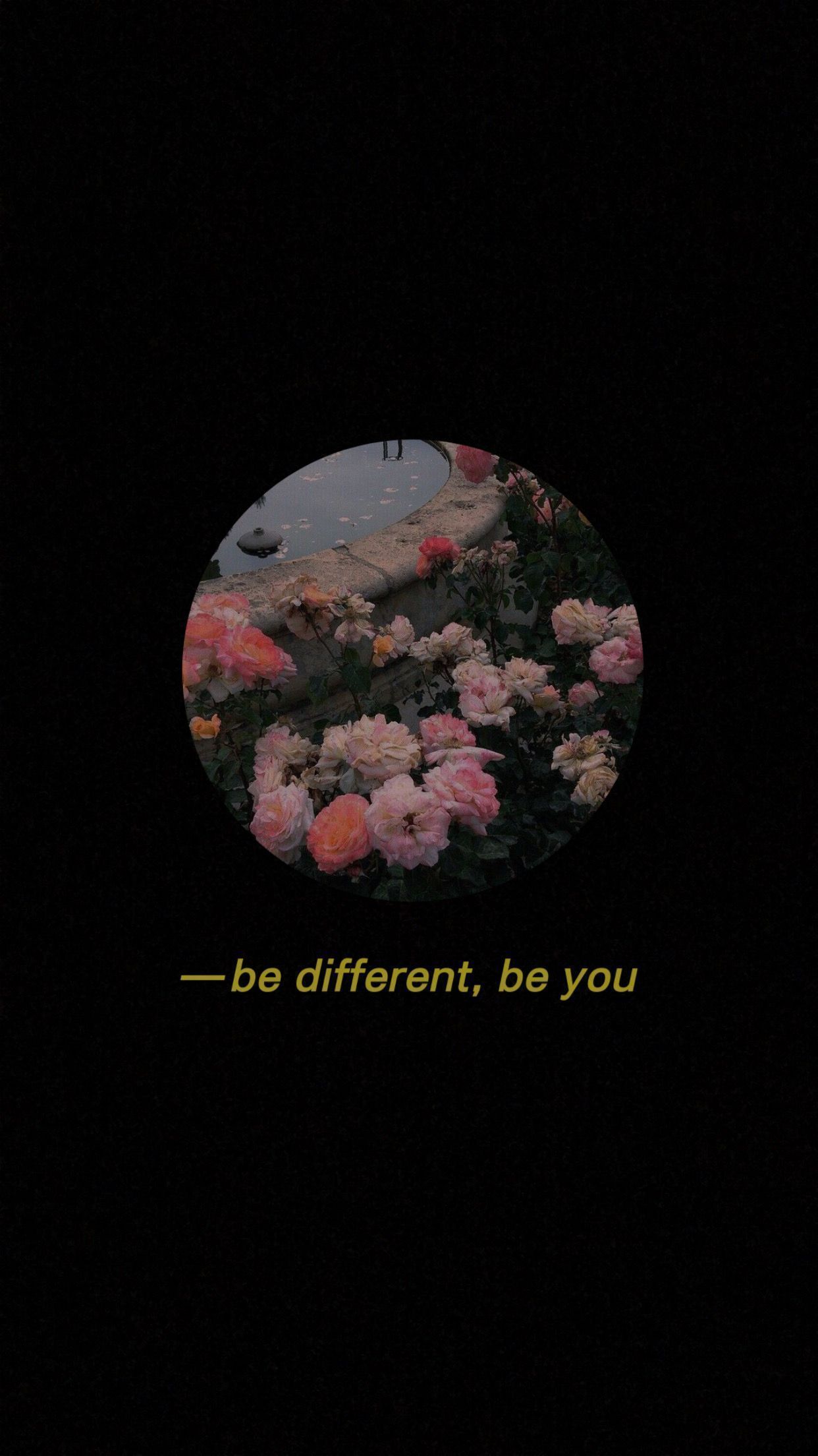 Be Different, Be You, Rosen, Spruch, Schwarzer Hintergrund, Kreis, Sperrbildschirm fürs iPhone
