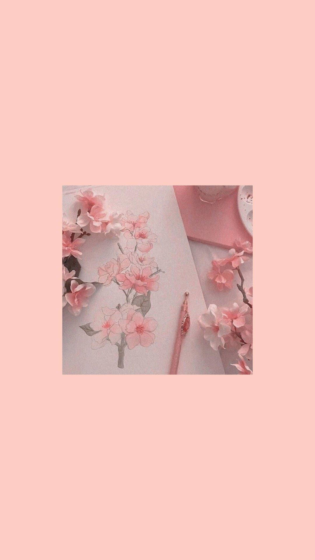 Rosa Blüten, Rahmen, Pastellrosa, Minimalistisch, Blumen, Full HD, Handy-Hintergrund