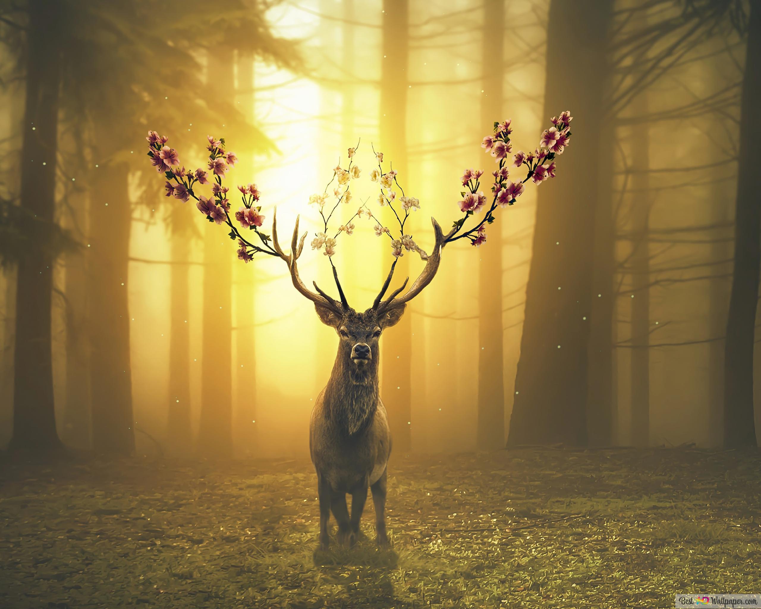 Hirsch, Blühendes Geweih, Wald, Sonnenstrahlen, Fantasy, 2K, Laptop-Hintergrundbild