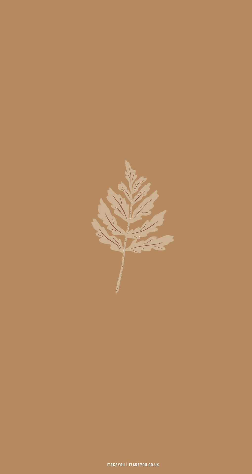 Farnblatt, Strichzeichnung, Braun, Minimalistisch, HD, Hintergrundbild fürs Handy