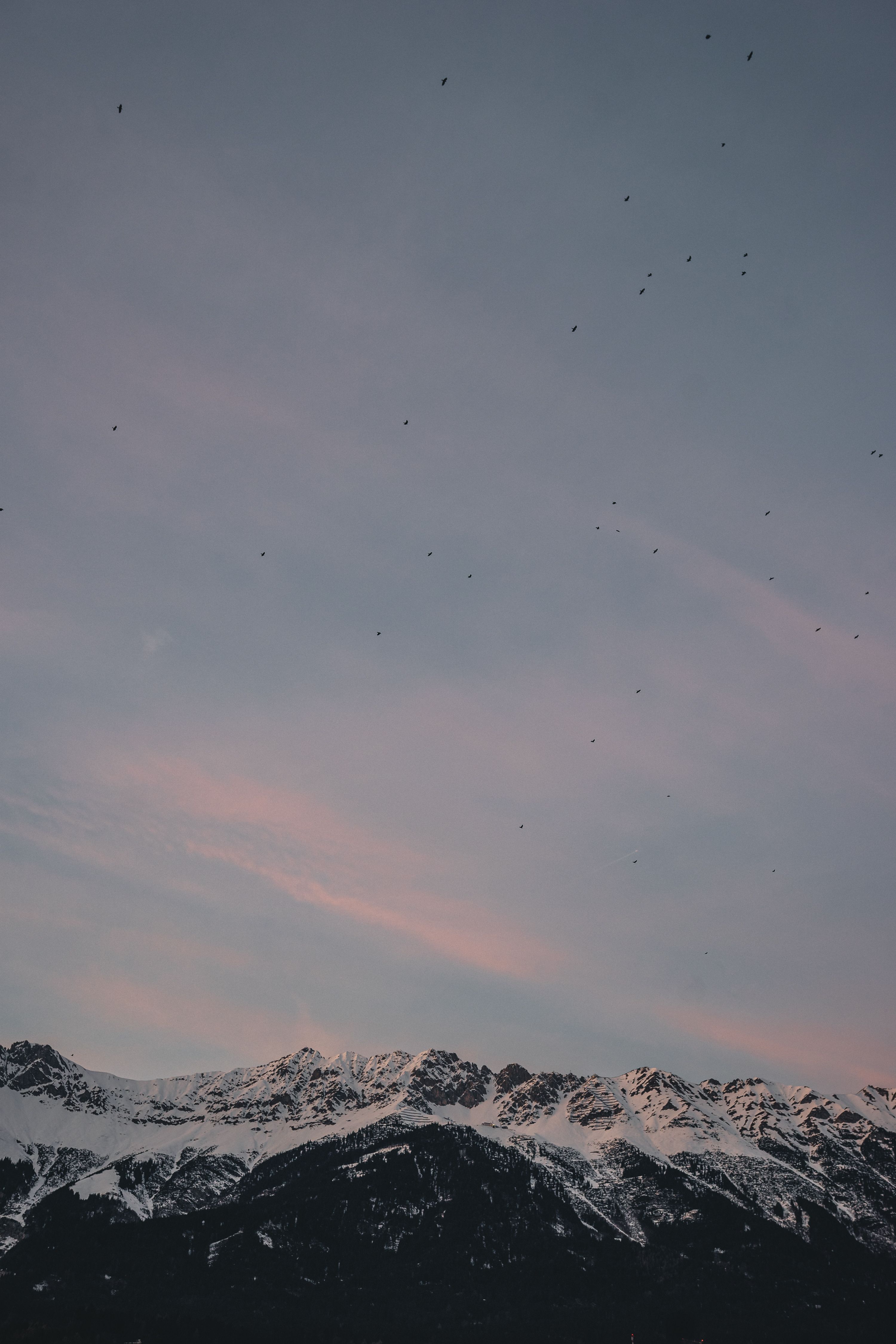 Berge, Abendhimmel, Schnee, Dämmerung, Minimalismus, QHD+, Handy-Hintergrund im Hochformat