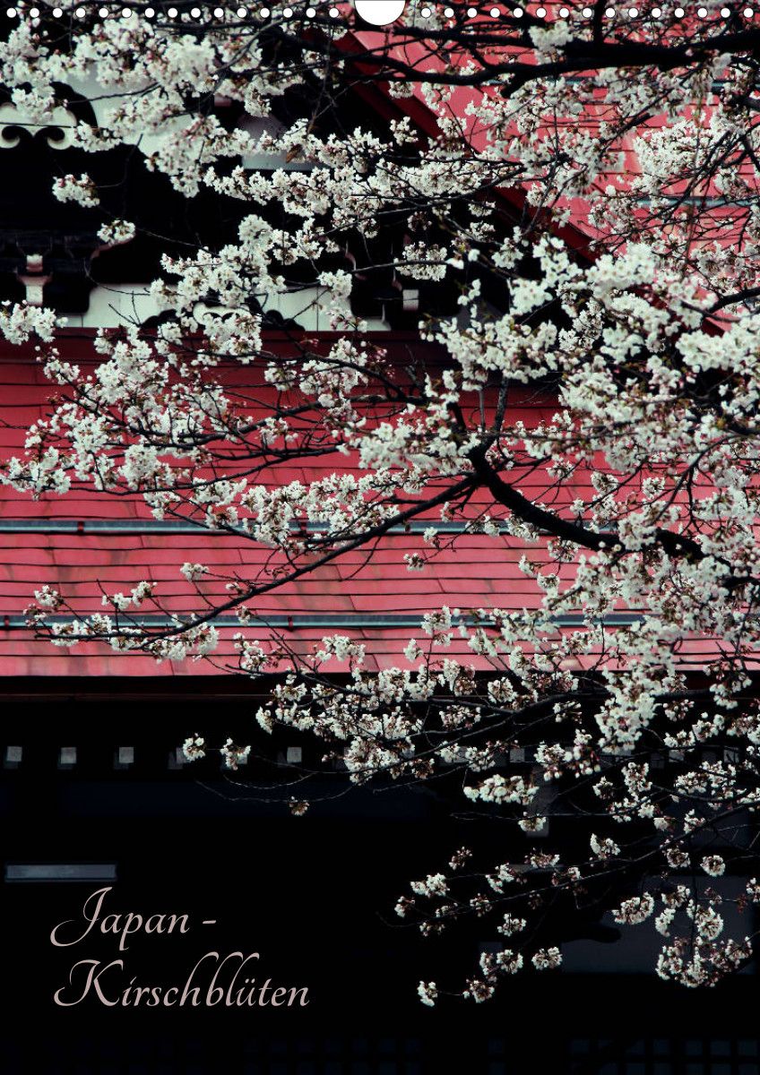 Kirschblüten, Japan, Kalender, Nacht, Zweige, HD, Hintergrundbild fürs Tablet