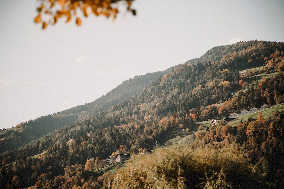 Hügel, Wald, Herbst, Landschaft, Berge, Hintergrund