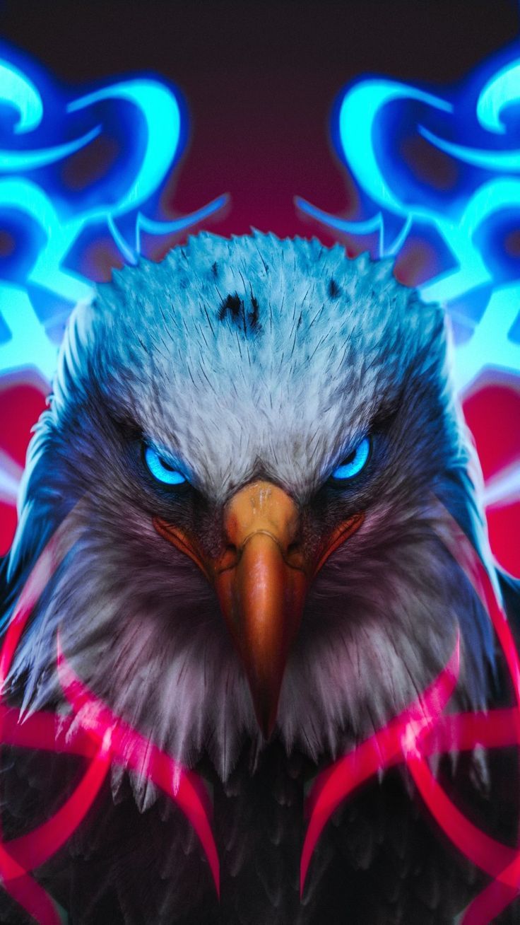 Adler, Neonlicht, Blau, Pink, Digitale Kunst, Hintergrundbild für iPhone und Android