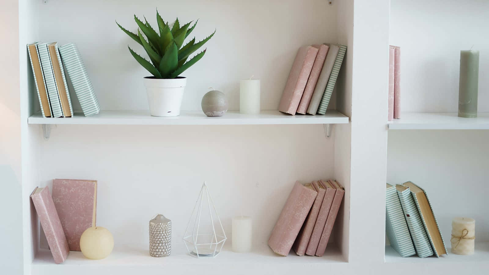 Bücherregal, Sukkulente, Weiß, Interieur, Minimalistisch, HD-Hintergrundbild für PC