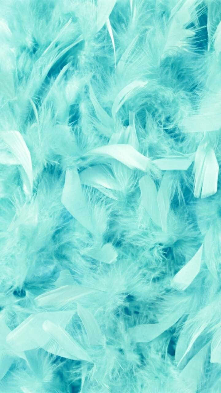 Federn, Textur, Hellblau, Weich, HD, Hintergrundbild fürs Handy