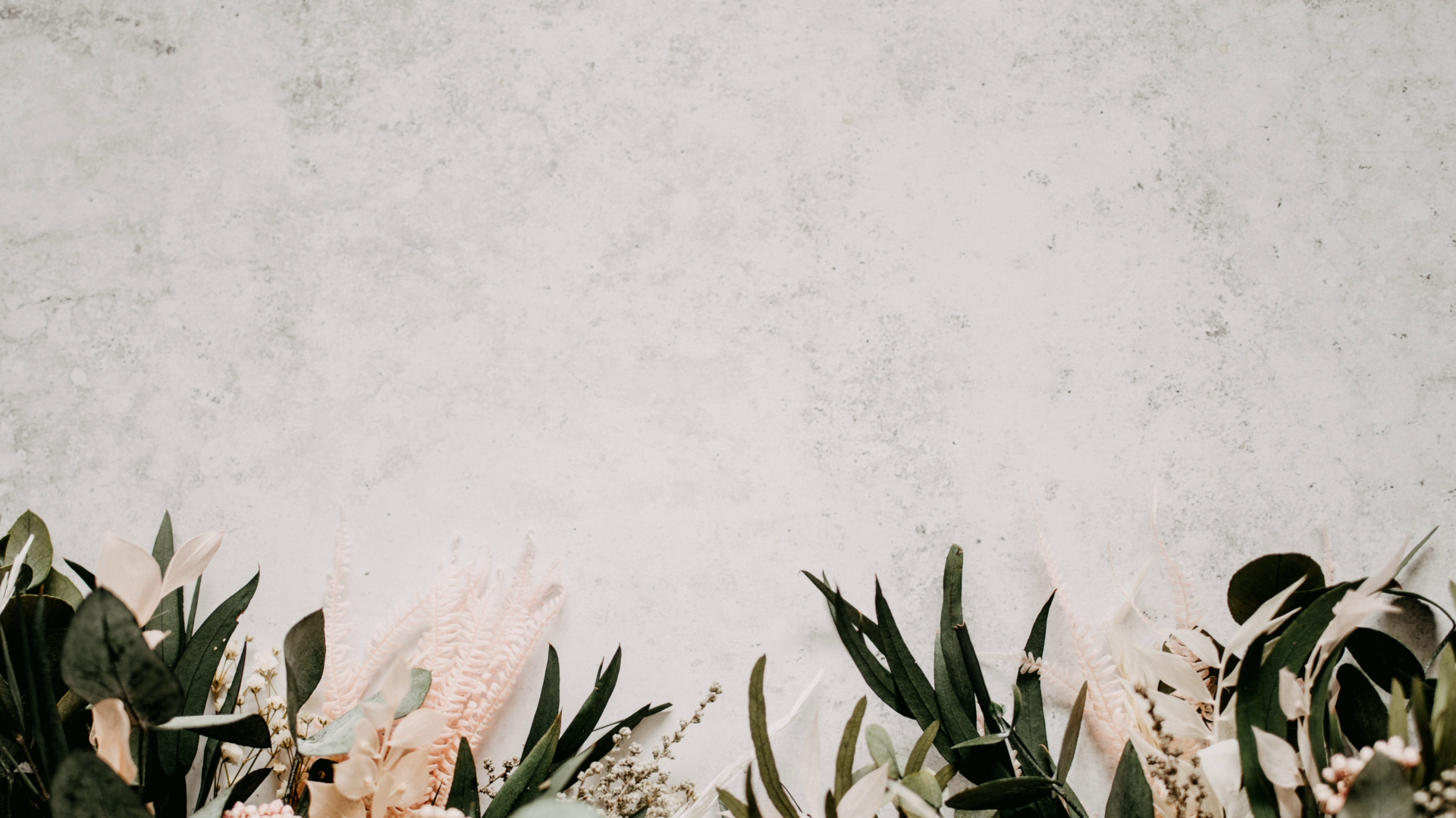 Betonwand, Pflanzen, Grau, Textur, Minimalistisch, Full HD 1080p, Desktop-Hintergrundbild