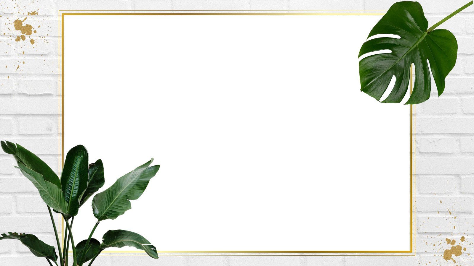 Rahmen, Monstera, Weiße Ziegelwand, Goldrahmen, Pflanzen, HD, Desktop-Hintergrund